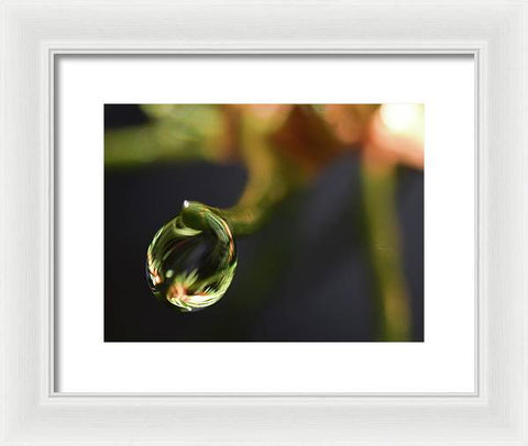 Water Droplet - Framed Print