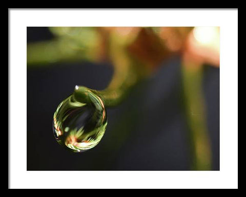 Water Droplet - Framed Print