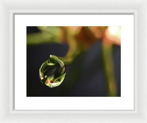 Water Droplet - Framed Print