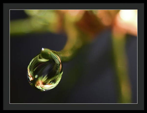 Water Droplet - Framed Print