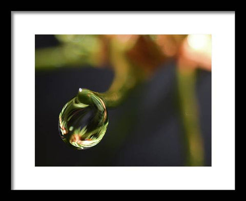 Water Droplet - Framed Print