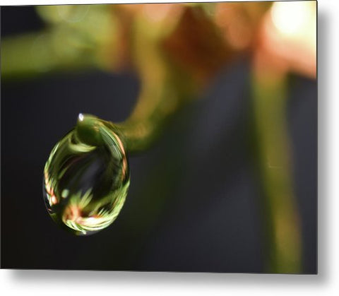 Water Droplet - Metal Print