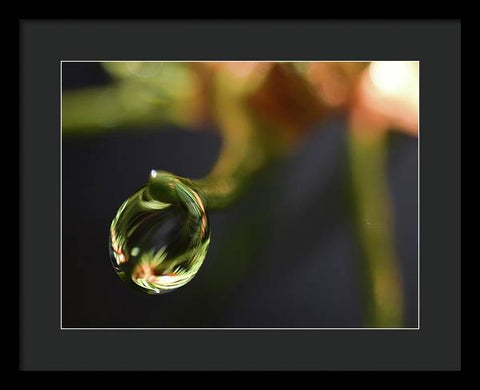 Water Droplet - Framed Print