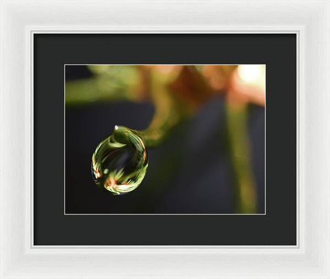 Water Droplet - Framed Print