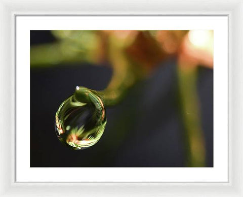 Water Droplet - Framed Print