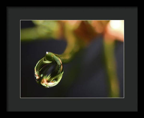 Water Droplet - Framed Print