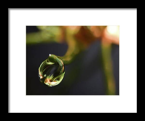 Water Droplet - Framed Print