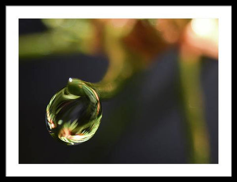 Water Droplet - Framed Print