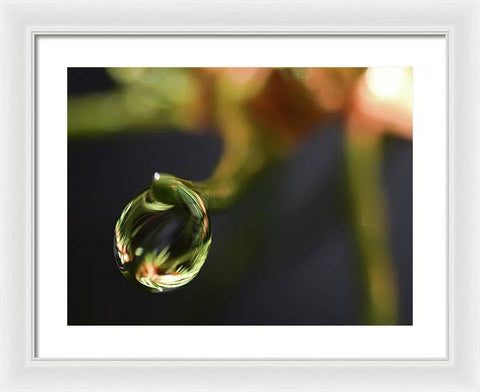 Water Droplet - Framed Print