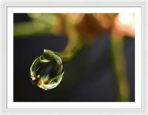 Water Droplet - Framed Print