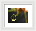 Water Droplet - Framed Print