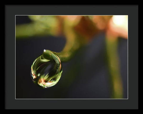 Water Droplet - Framed Print