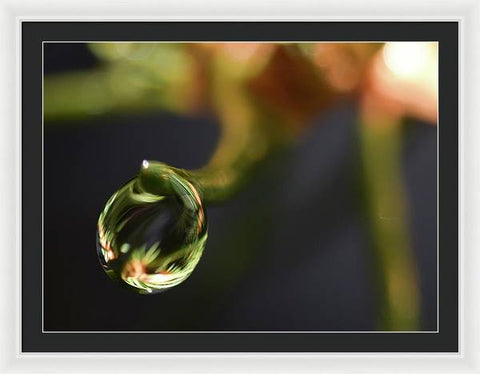 Water Droplet - Framed Print