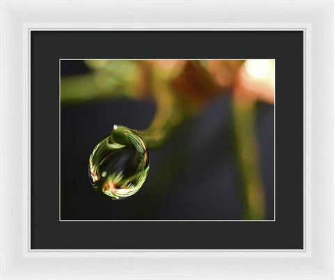 Water Droplet - Framed Print