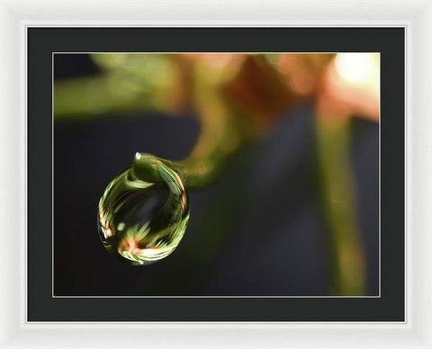 Water Droplet - Framed Print