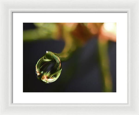 Water Droplet - Framed Print