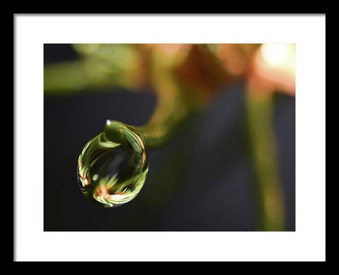 Water Droplet - Framed Print